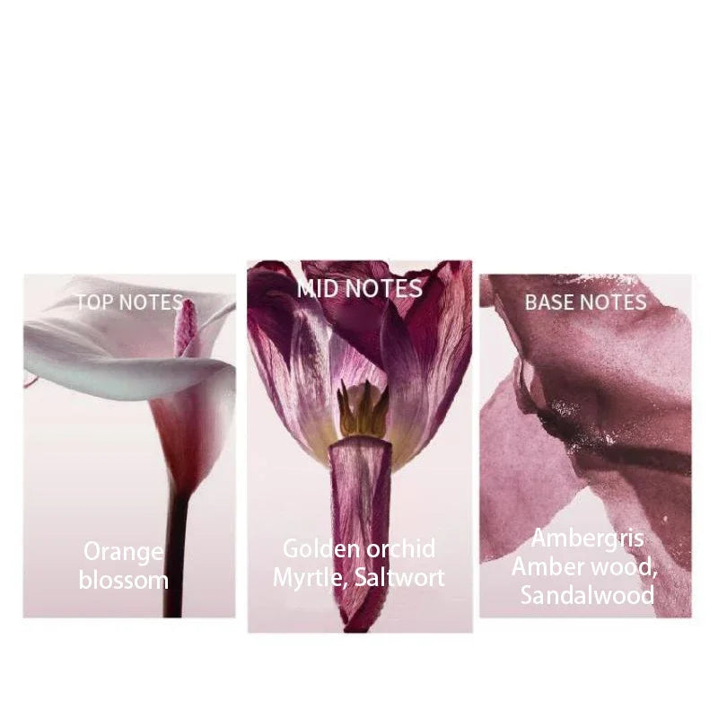 Perfume romántico para mujer: fragancia floral y afrutada de larga duración, ligera y fresca, con notas de fresia y pomelo; ideal para citas (Eau de Toilette).